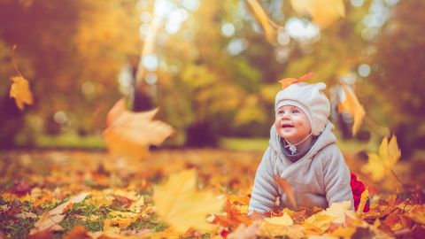 Baby krabbelt fasziniert im Herbstlaub