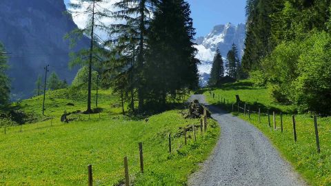 Rad- und Wanderweg durch grüne Wiesen und Berge im Hintergrund