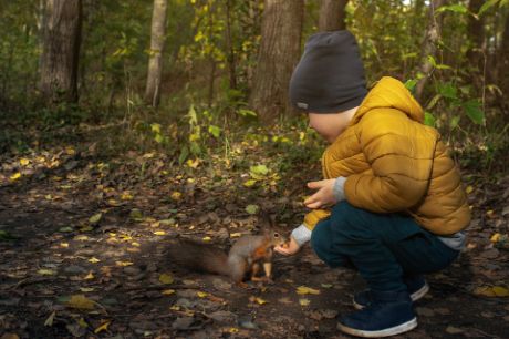 Un garçon donne à manger à un écureuil sur le sentier des écureuils de Bougy