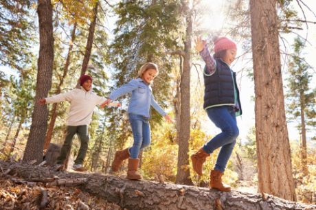 Drei Kinder balancieren auf einem Baumstamm im Herbstwald