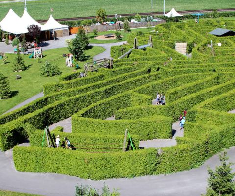 Menschen laufen durch das grosse Labyrinth aus grünen Hecken