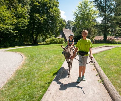Sommerfrische im Park im Grüene in Rüschlikon | Famigros
