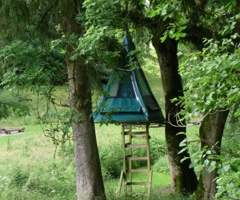Un campeggio un po' particolare al bivacco sugli alberi di Villarimboud 