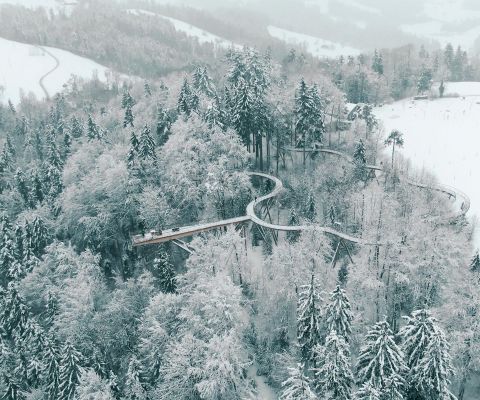 Veduta dall'alto del sentiero sugli alberi di Neckertal innevato