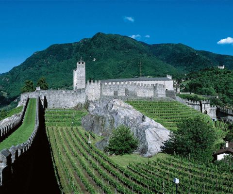 Châteaux de Bellinzone entourés de vignes et de montagnes verdoyantes