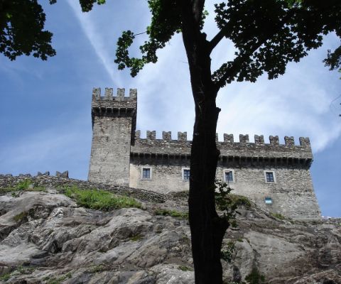 Burg mit Zinnen von unten gesehen, mit Baum im Vordergrund