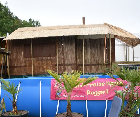 Atmosfera da spiaggia nella piscina privata della famiglia Gasser a Roggwil