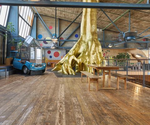 Bimano Kids Innenansicht mit einem goldenen Baum, durch den man krabbeln kann