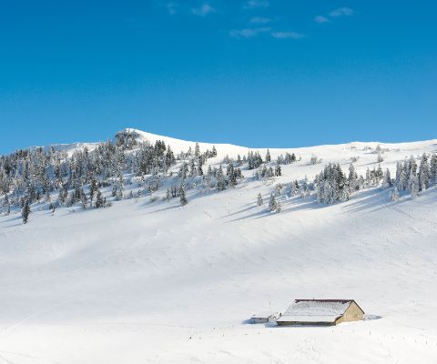 Schneelandschaft in Les Bugnenets-Savagnières am Chasseral