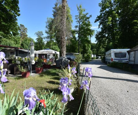Le camping Paradis Plage au bord du lac de Neuchâtel