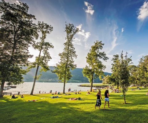 Parco al campeggio Sutz sul lago di Bienne