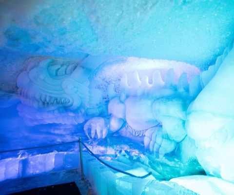 Sculpture dans une grotte de glace
