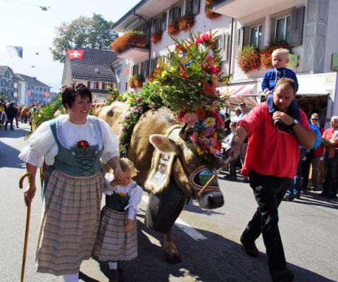 Famiglia in costume tradizionale conduce tra la folla ai lati della strada mucche adornate a festa