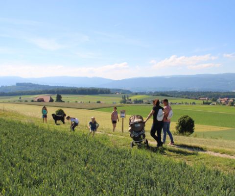 Familie spaziert auf dem Erlebnisrundweg Bucheggberg 