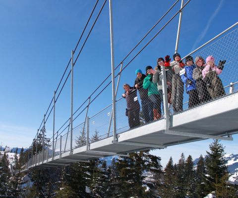 Eine Gruppe steht auf der Fussgängerhängebrücke "Raiffeisen Skywalk"