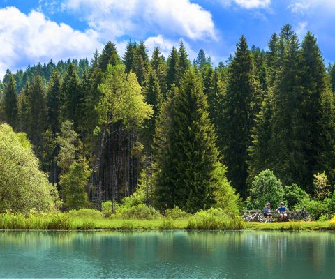 Wunderschöner Picknickplatz am Fluss mit Wald im Hintergrund im Jura