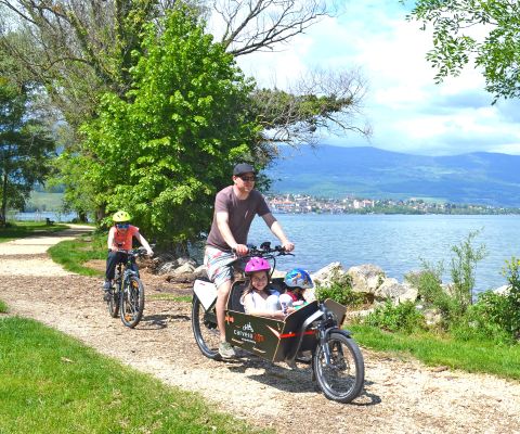 Gita in bicicletta adatta alle famiglie lungo il bel lago di Neuchâtel
