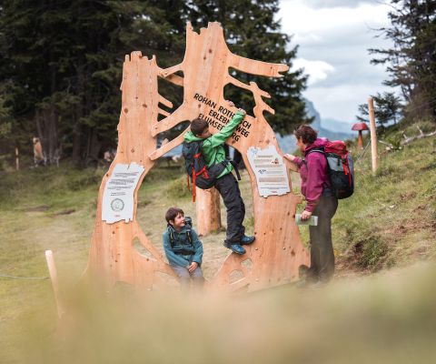 Rohan Rothirsch Erlebnisweg am Flumserberg