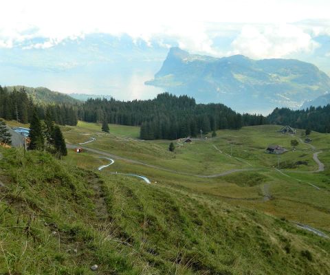 Blick auf die längste Sommerrodelbahn der Schweiz