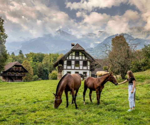 Une fillette nourrit des chevaux au Musée suisse de l’habitat rural de Ballenberg.