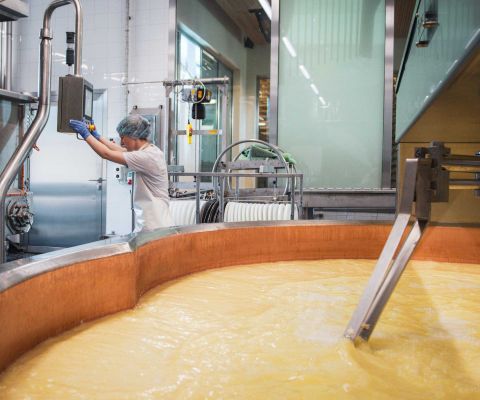 Observation des fromages à la fromagerie de démonstration des Franches-Montagnes
