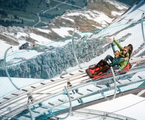 Alpine Coaster des Glacier 3000 ist die höchst gelegene Rodelbahn der Welt