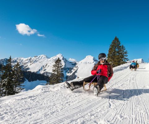 La descente en luge dans le domaine skiable de Jaun Gastlosen