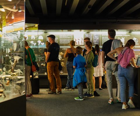 Museumsbesucher im Kulturama
