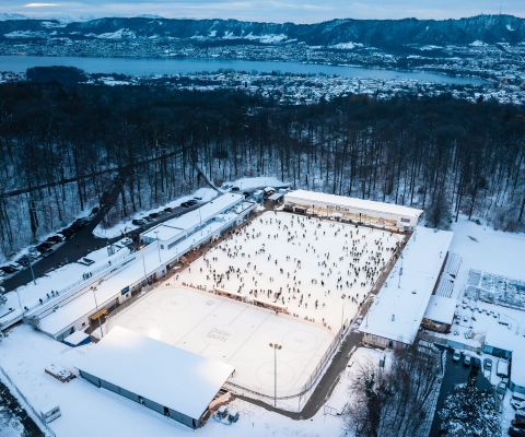Ansicht von oben auf die Dolder Eisbahn auf dem Zürichberg