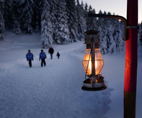 L'incanto del sentiero delle lanterne innevato allo Schwägalp ai piedi del Säntis
