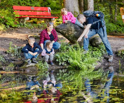 Enfants près de l’étang sur le sentier des contes de Wurzilla