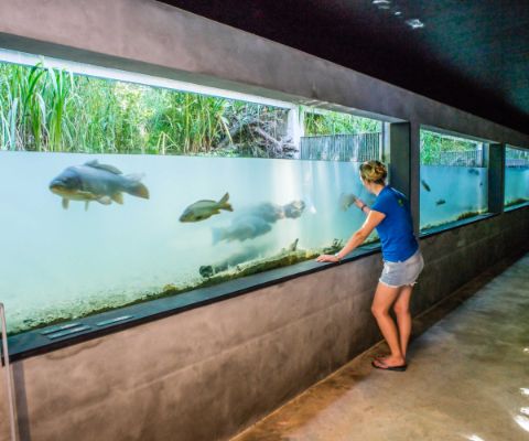 Aquarium à la Maison de la Rivière à Tolochenaz 