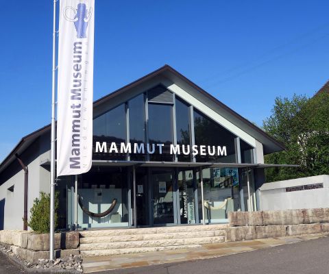 Vue extérieure du Musée du mammouth