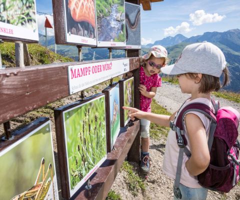 Bambini si divertono sul sentiero delle marmotte a Lenk