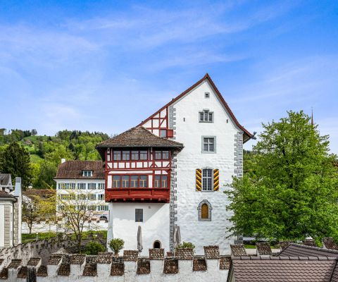 Museum Burg Zug / ©Heike Witzgall