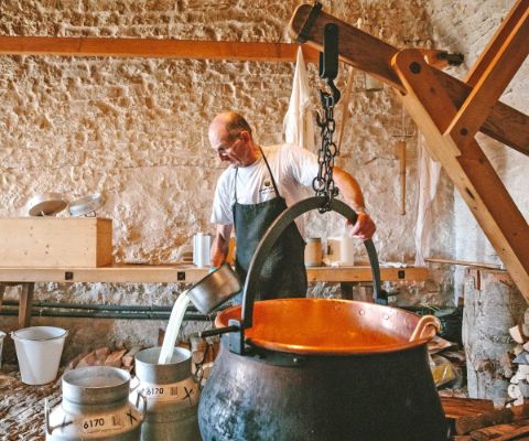 Maison de la Tête de Moine Bellelay : Erleben wie der beliebte Käse entsteht