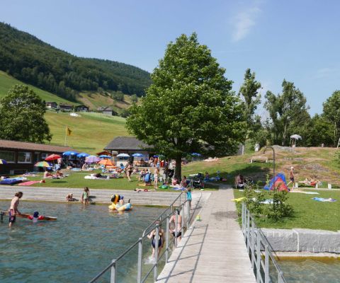 La piscine naturelle au camping de Seelisberg