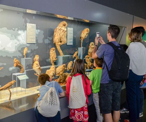 Famiglia in visita al Museo di storia naturale di Ginevra