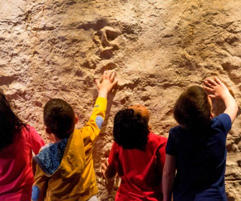 Il Museo di storia naturale di Ginevra è avvincente per i bambini