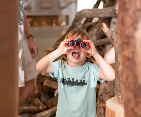Ein Junge entdeckt das Museum Luzern mit einem Fernglas Ein Junge entdeckt das Museum Luzern mit einem Fernglas