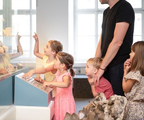 Un adulto e quattro bambini piccoli sono in piedi di fronte a una vetrina Un adulto e quattro bambini piccoli sono in piedi di fronte a una vetrina