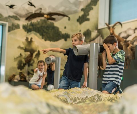 Mit Spass neue Tiere kennenlernen im Naturmuseum St. Gallen