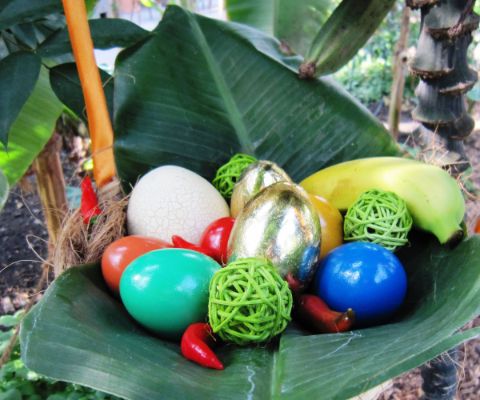 Farbige Eier im Tropenhaus Frutigen