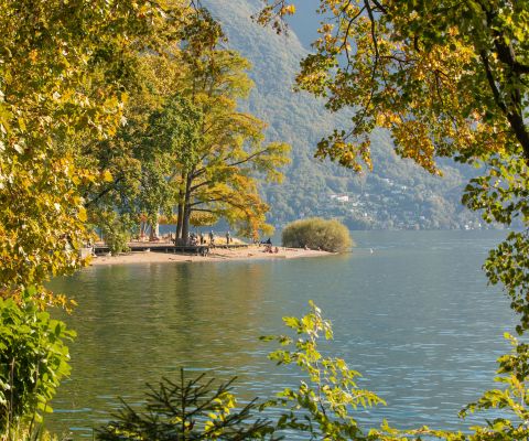 Vista sulla riva del lago nel Parco Ciani di Lugano