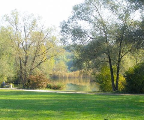 Veduta del parco con prato verde, alberi e un lago