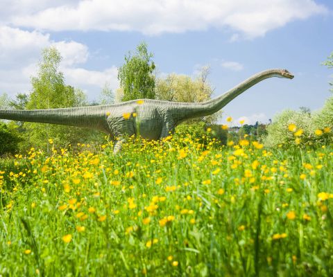 Grosser Dinosauerier steht auf blühender Wiese