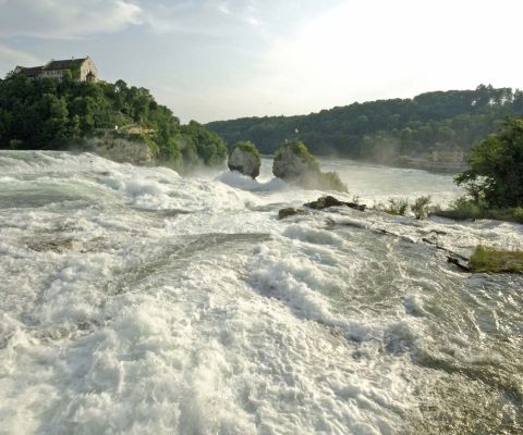 Aufgewühltes Wasser oberhalb des Rheinfalls in Schaffhausen