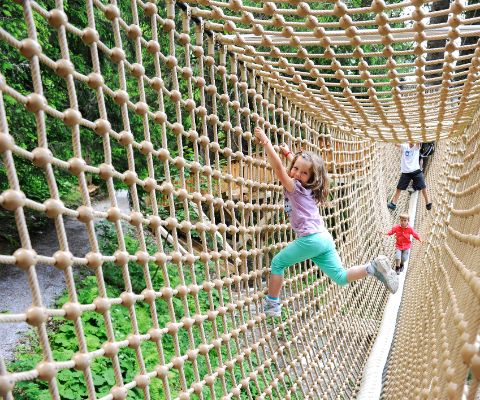 Des enfants jouent sur le pont suspendu dans la forêt géante d’Elm