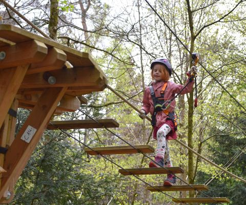 Ein Mädchen klettert gesichert im Ropetech Seilpark Bern
