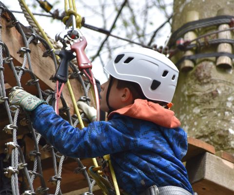 Ein Junge klettert in einen Parcour im Ropetech Seilpark Bern ein Stahlnetz hinauf